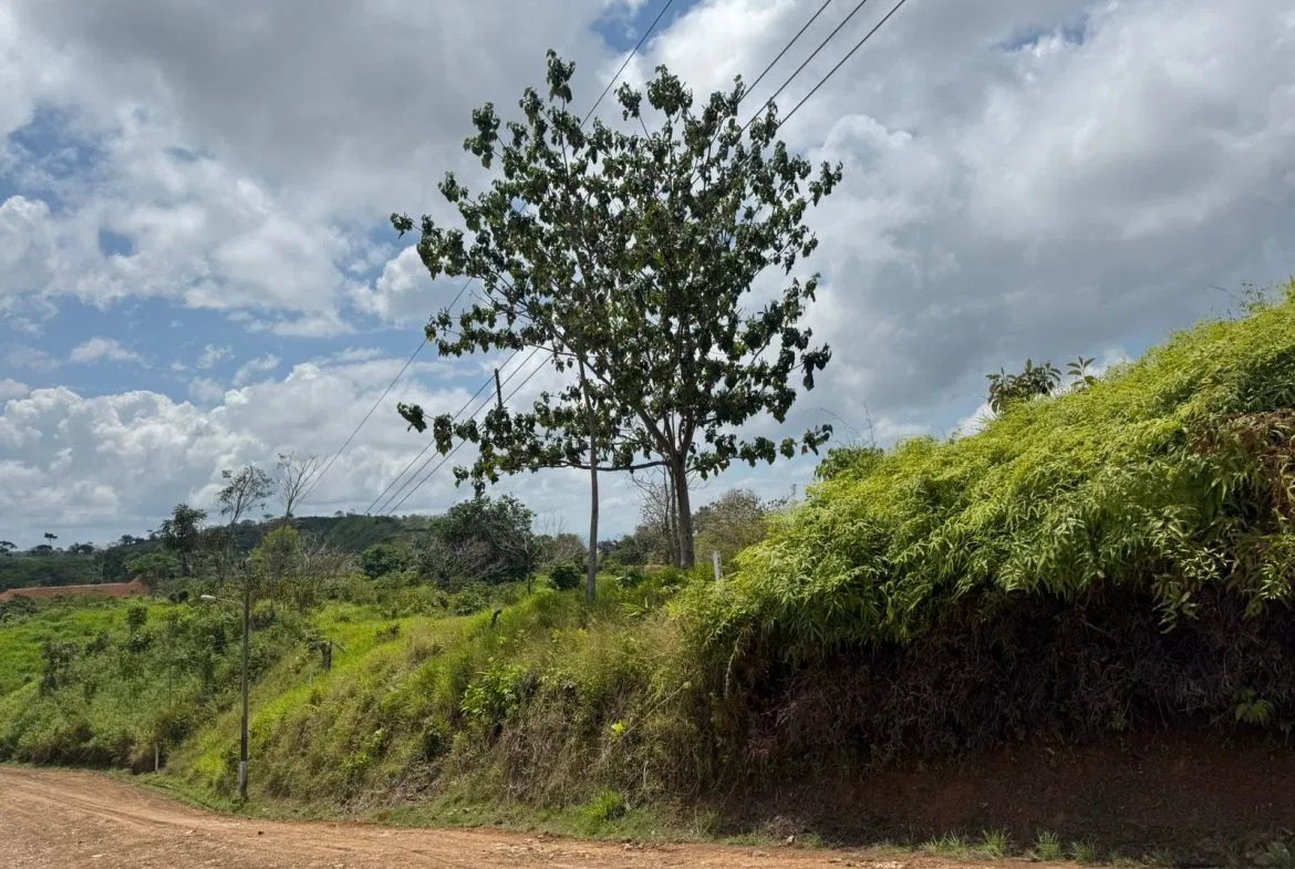 PROPERTY WITH MOUNTAIN VIEW, IN CHONTALES – 2.5 ACRES, photo 12