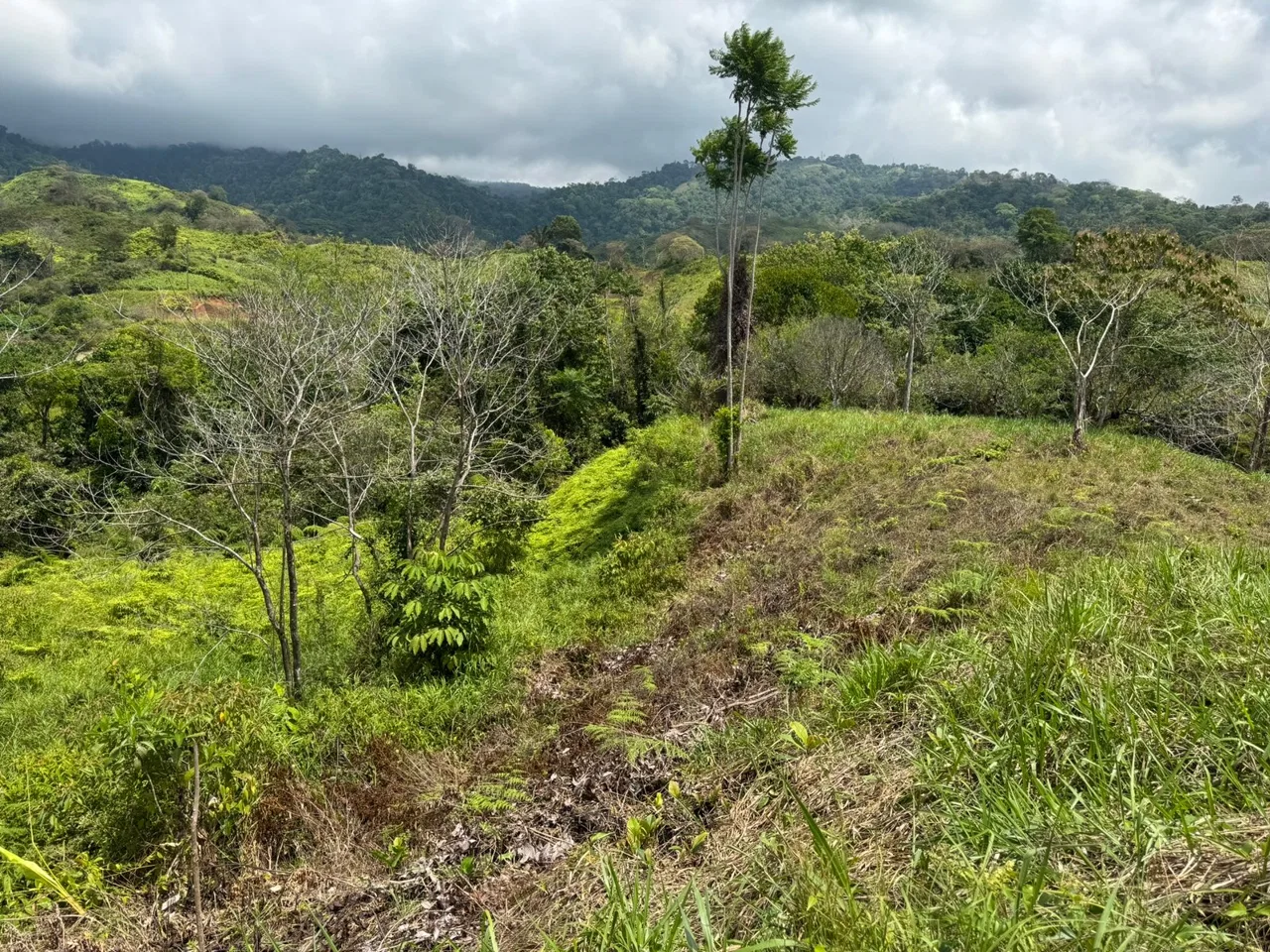 PROPERTY WITH MOUNTAIN VIEW, IN CHONTALES – 2.5 ACRES, photo 5