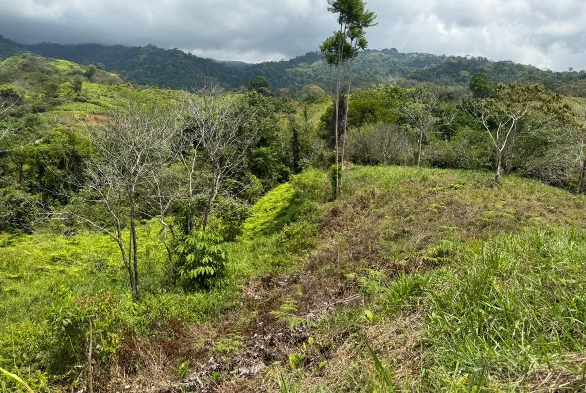 PROPERTY WITH MOUNTAIN VIEW, IN CHONTALES – 2.5 ACRES, photo 6