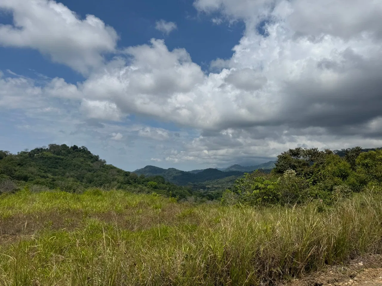 PROPERTY WITH MOUNTAIN VIEW, IN CHONTALES – 2.5 ACRES, photo 7