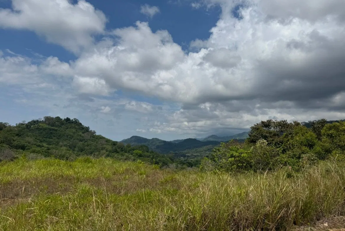 PROPERTY WITH MOUNTAIN VIEW, IN CHONTALES – 2.5 ACRES, photo 8