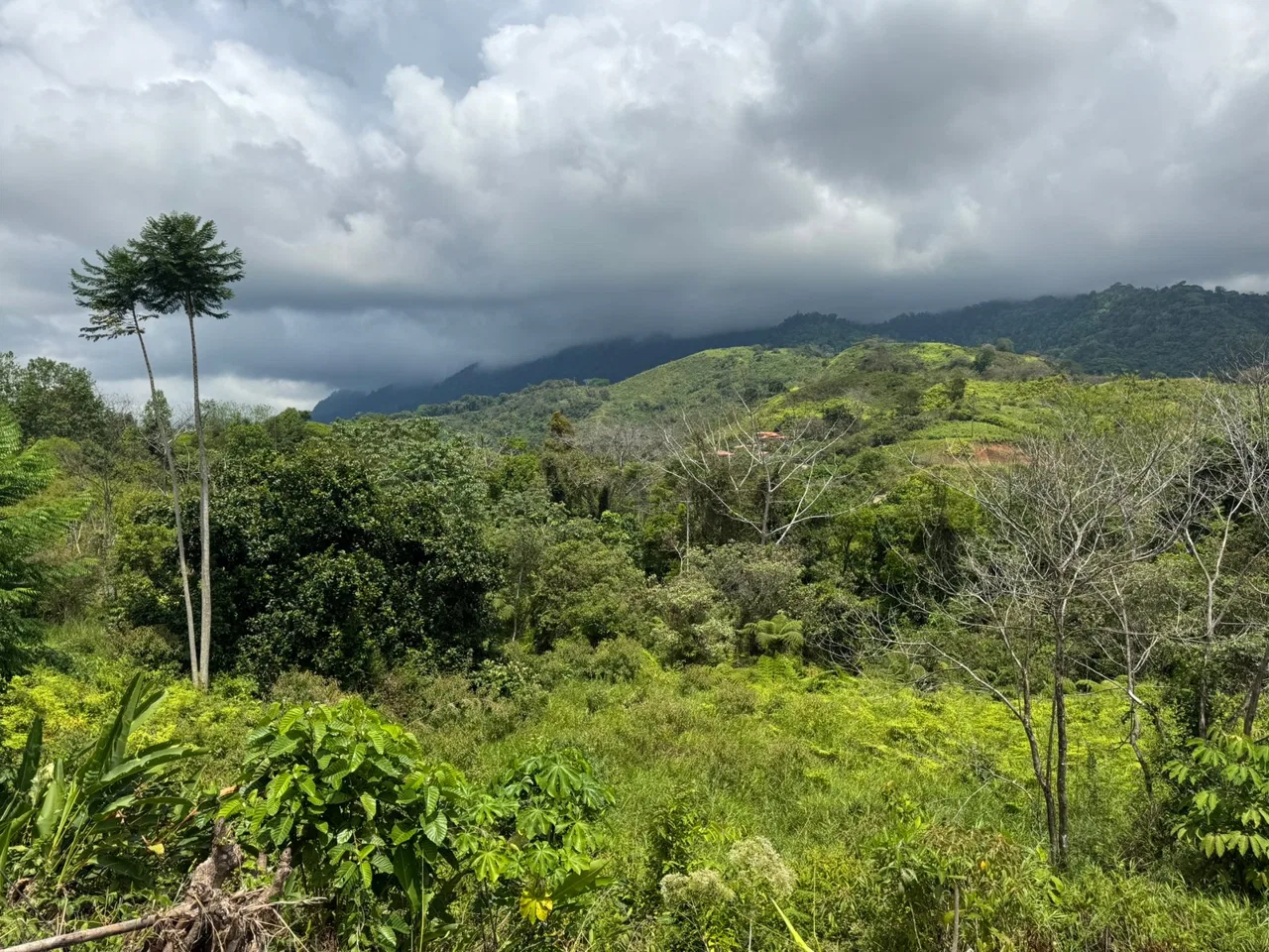 PROPERTY WITH MOUNTAIN VIEW, IN CHONTALES – 2.5 ACRES, photo 9