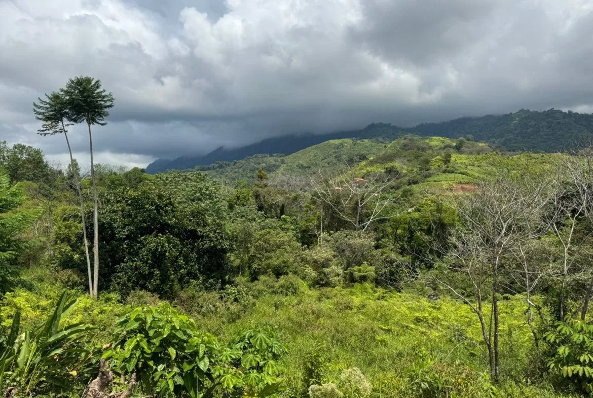 PROPERTY WITH MOUNTAIN VIEW, IN CHONTALES – 2.5 ACRES, photo 10