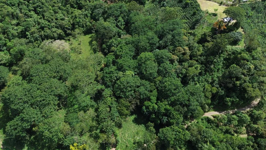 Land for Sale in San Francisco de Rivas: Build-Ready Lot with Water and Power Available H7
