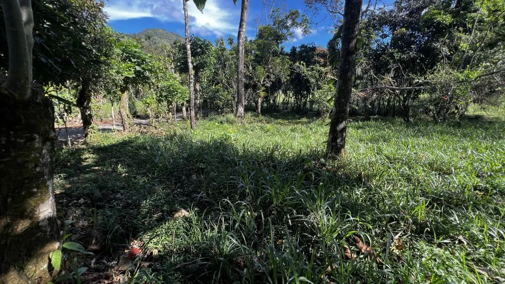 Land for Sale in San Francisco de Rivas: Build-Ready Lot with Water and Power Available H7, photo 5