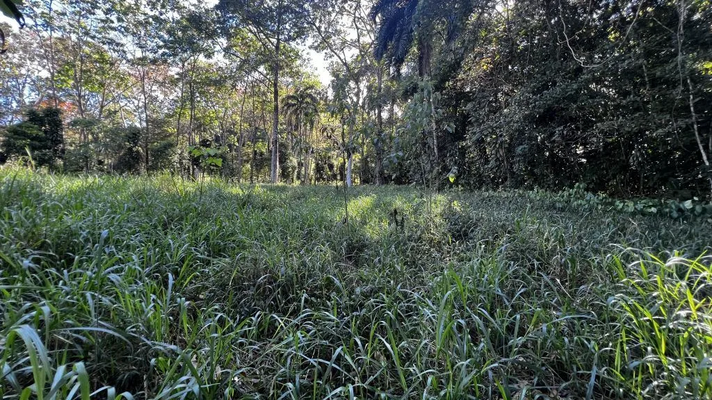 Land for Sale in San Francisco de Rivas: Build-Ready Lot with Water and Power Available H7, photo 8