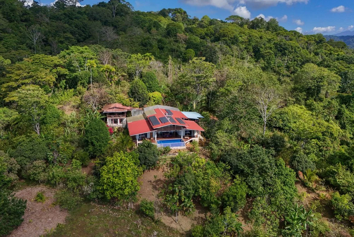 Majestic Ocean View Home With Solar & Mature Exotic Fruit Trees – 2.4 Acres, photo 5