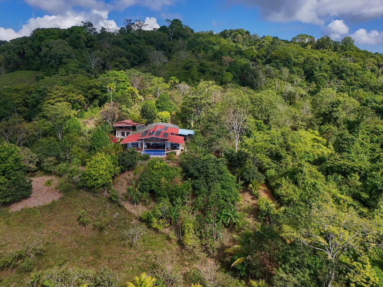 Majestic Ocean View Home With Solar & Mature Exotic Fruit Trees – 2.4 Acres, photo 6