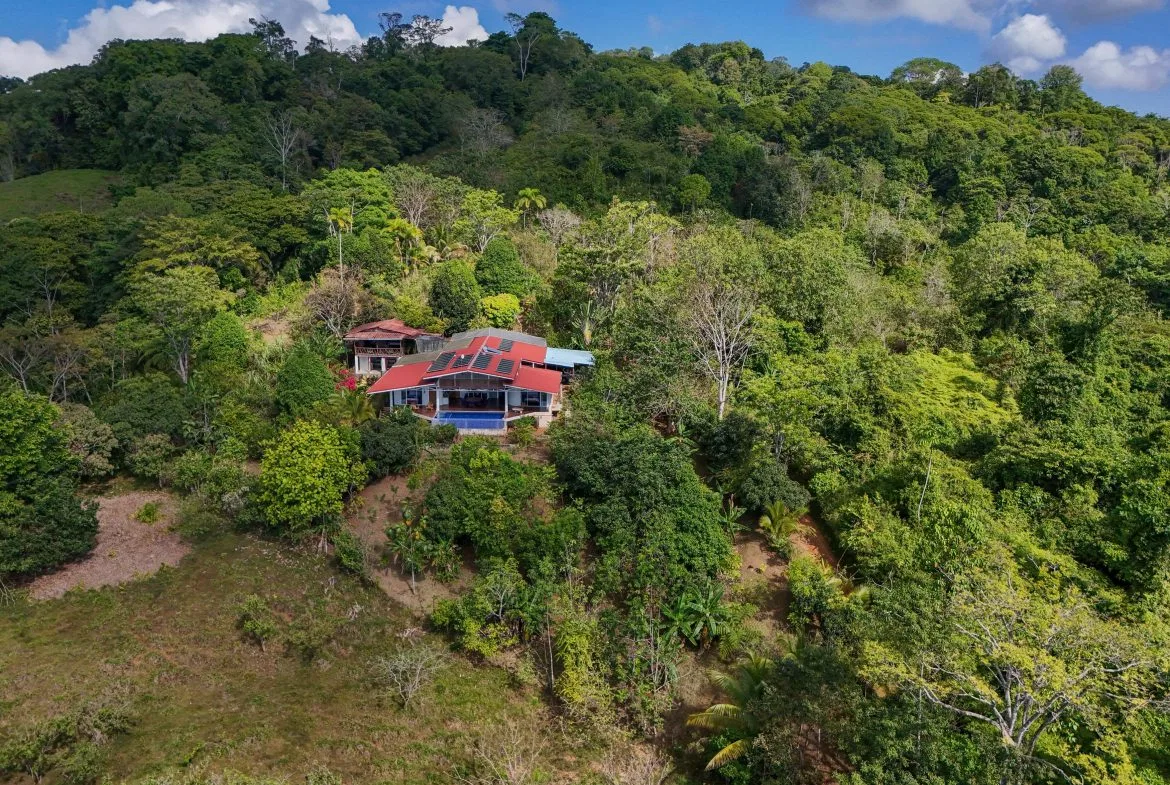Majestic Ocean View Home With Solar & Mature Exotic Fruit Trees – 2.4 Acres, photo 7