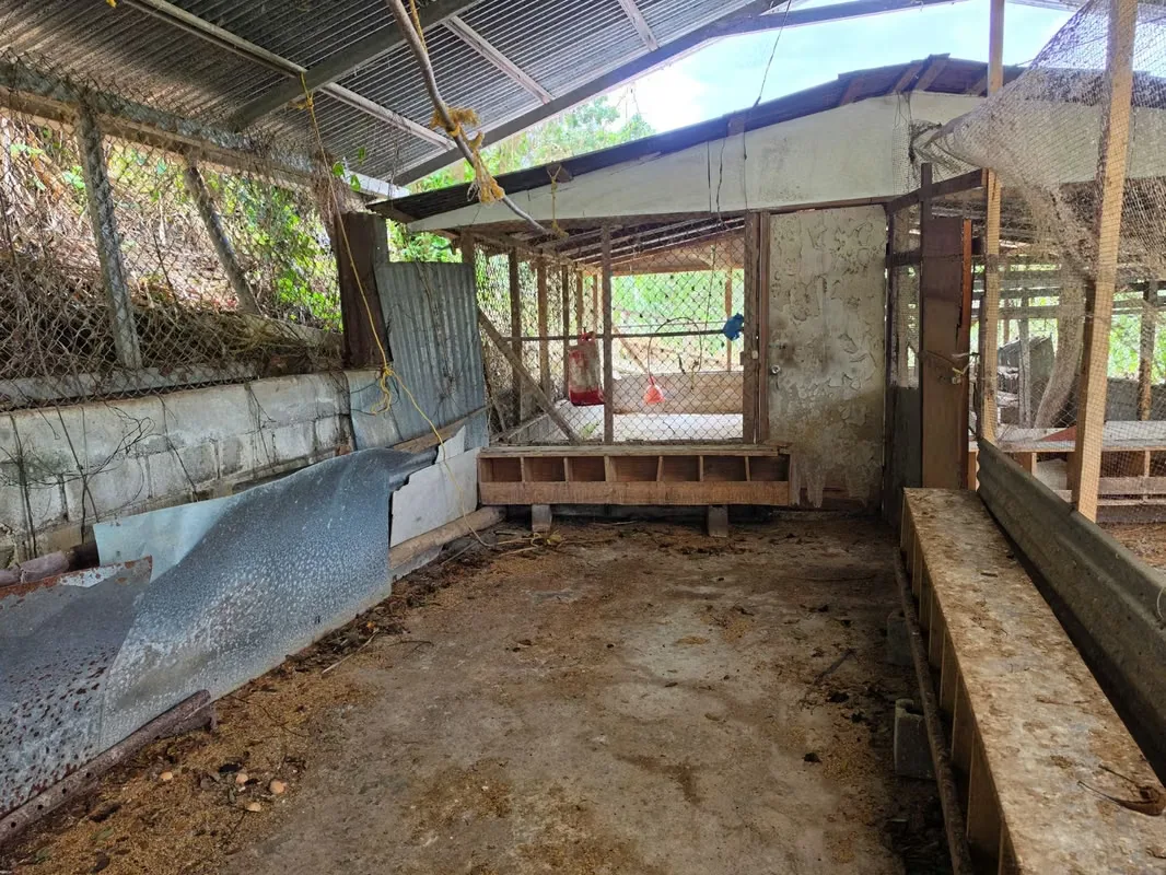 La finca posee una casa en muy buen estado, con 3 habitaciones y un baño completo. Garaje techado para ..., photo 15