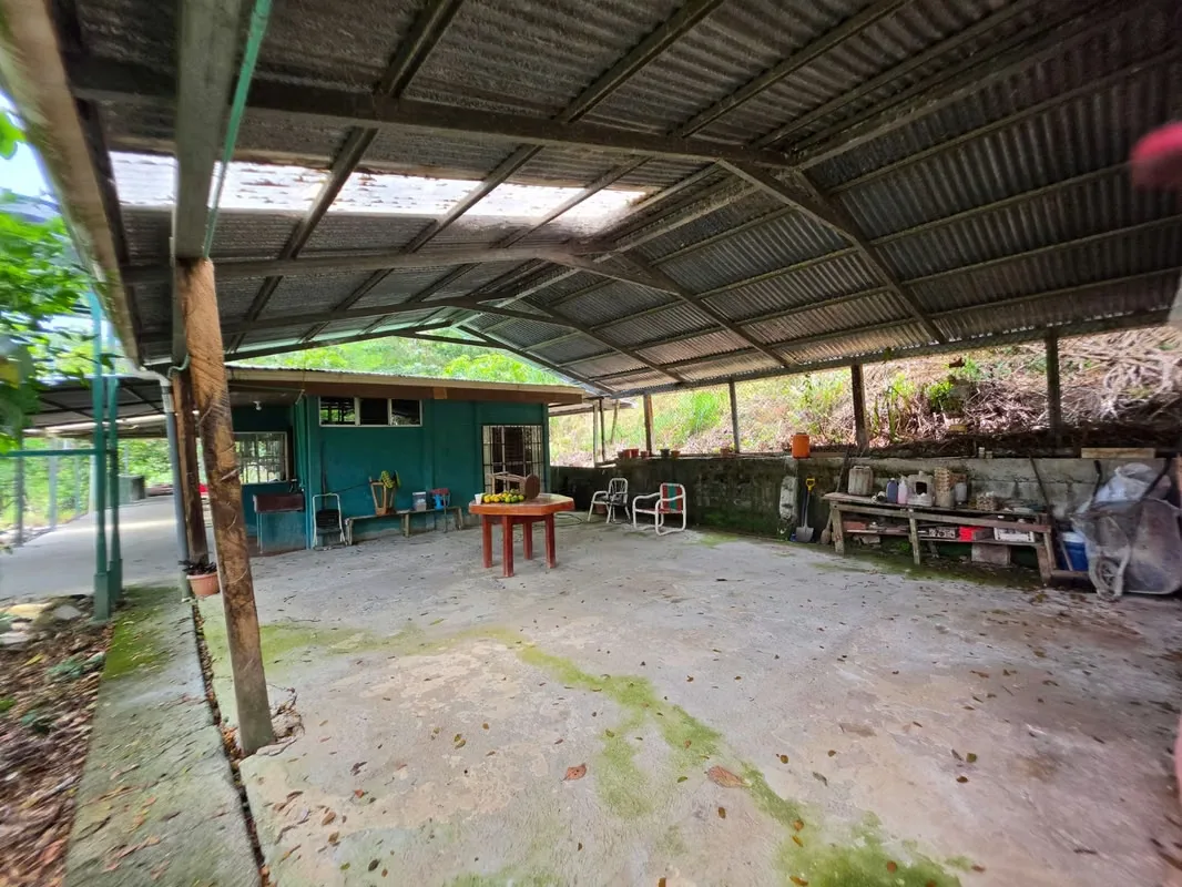 La finca posee una casa en muy buen estado, con 3 habitaciones y un baño completo. Garaje techado para ..., photo 5