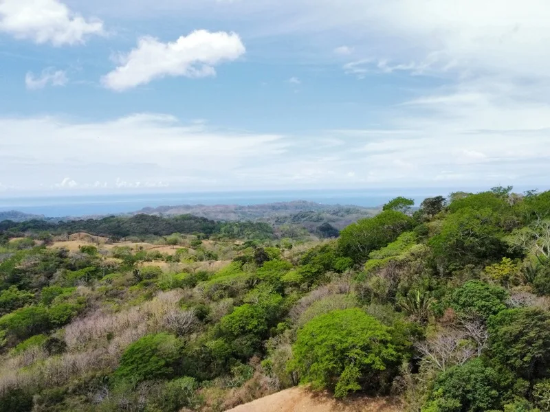 Land For Sale in Samara, photo 11
