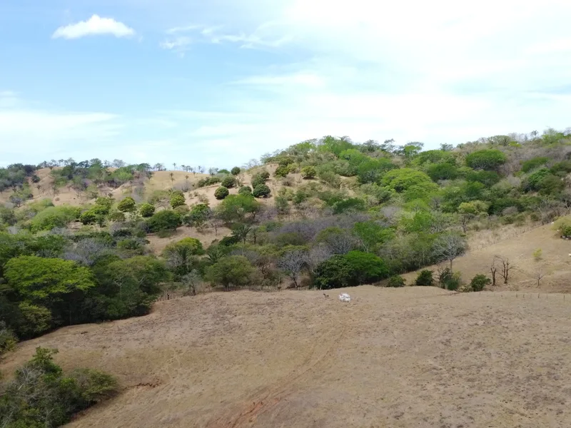 Land For Sale in Samara, photo 13