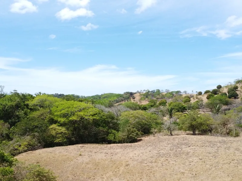 Land For Sale in Samara, photo 14