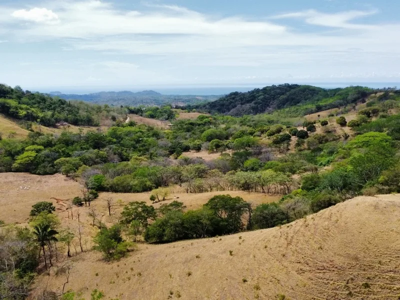 Land For Sale in Samara, photo 4