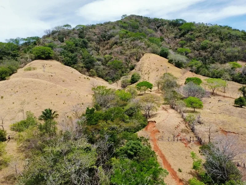 Land For Sale in Samara, photo 5