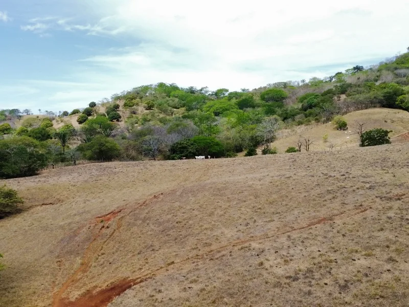 Land For Sale in Samara, photo 6