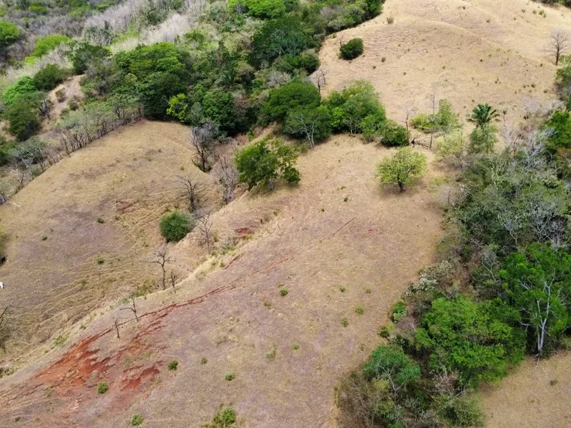 Land For Sale in Samara, photo 7