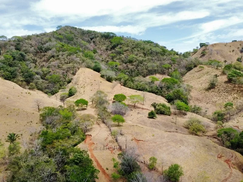 Land For Sale in Samara, photo 8