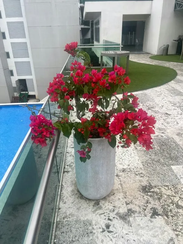 Descubre este hermoso apartamento ubicado en el quinto piso, diseñado para ofrecerte comodidad, ..., photo 2