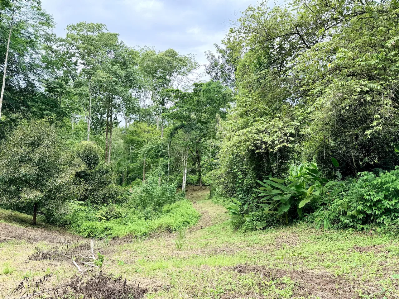 NEW LOT DEVELOPMENTS WITH RIVER ACCESS AND A SMALL WATERFALL, IN UVITA – 2.2 ACRES, photo 2