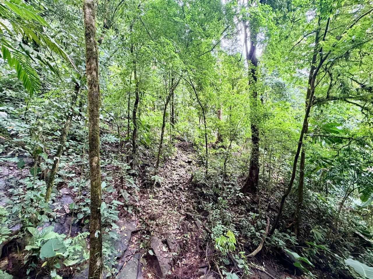 NEW LOT DEVELOPMENTS WITH RIVER ACCESS AND A SMALL WATERFALL, IN UVITA – 2.2 ACRES, photo 14