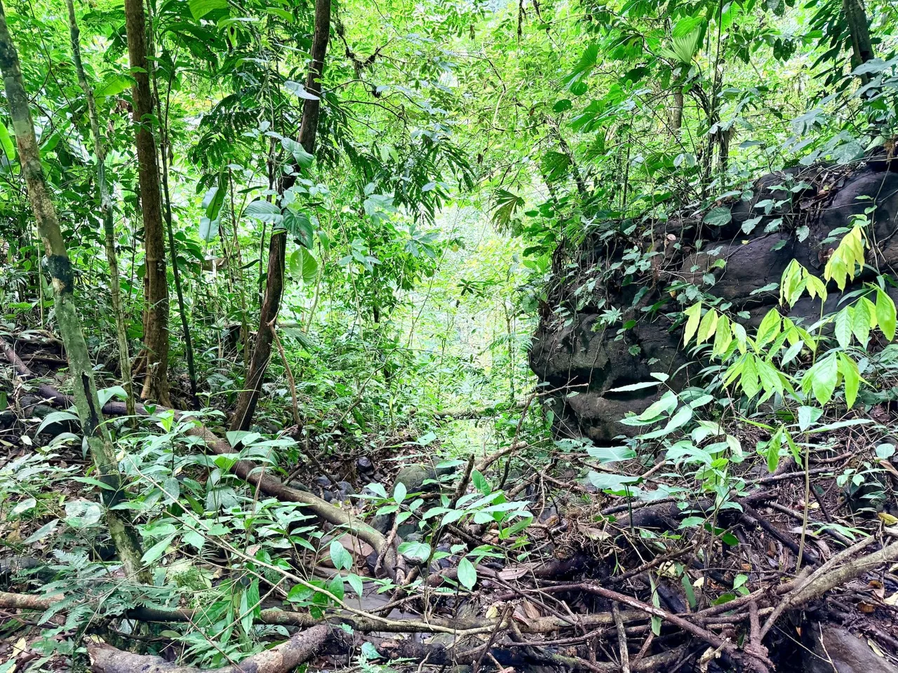 NEW LOT DEVELOPMENTS WITH RIVER ACCESS AND A SMALL WATERFALL, IN UVITA – 2.2 ACRES, photo 15