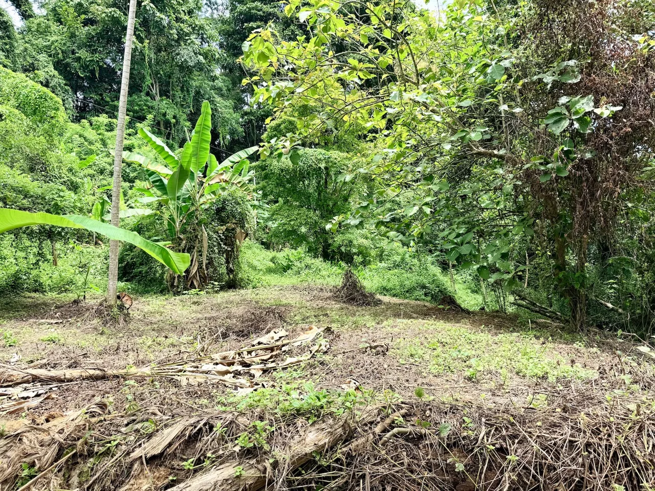 NEW LOT DEVELOPMENTS WITH RIVER ACCESS AND A SMALL WATERFALL, IN UVITA – 2.2 ACRES, photo 5