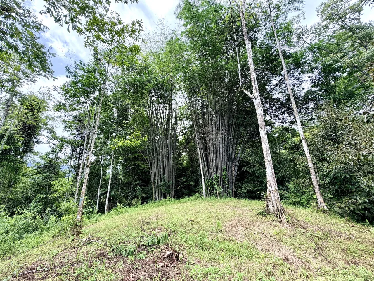 NEW LOT DEVELOPMENTS WITH RIVER ACCESS AND A SMALL WATERFALL, IN UVITA – 2.2 ACRES, photo 7