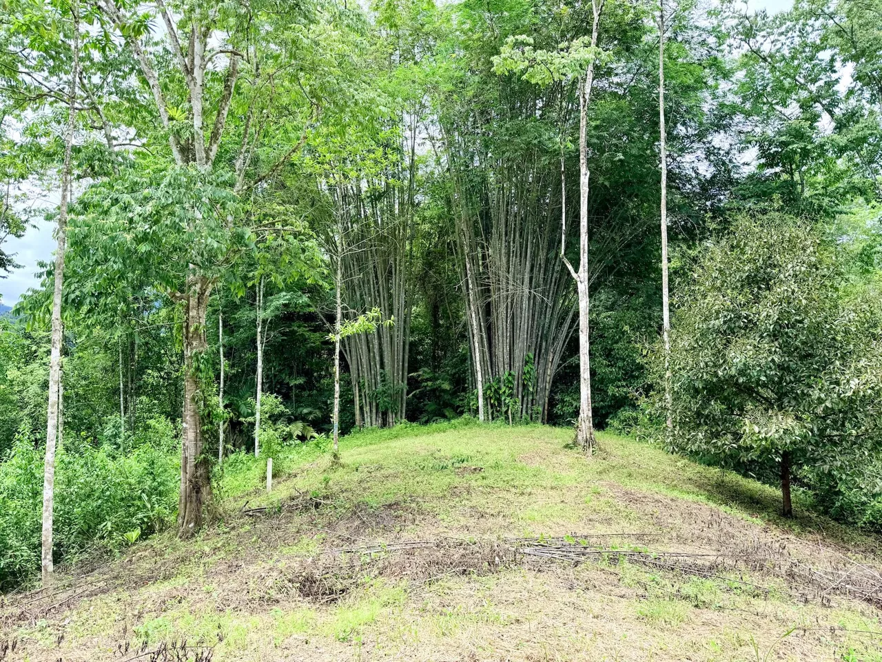 NEW LOT DEVELOPMENTS WITH RIVER ACCESS AND A SMALL WATERFALL, IN UVITA – 2.2 ACRES, photo 8