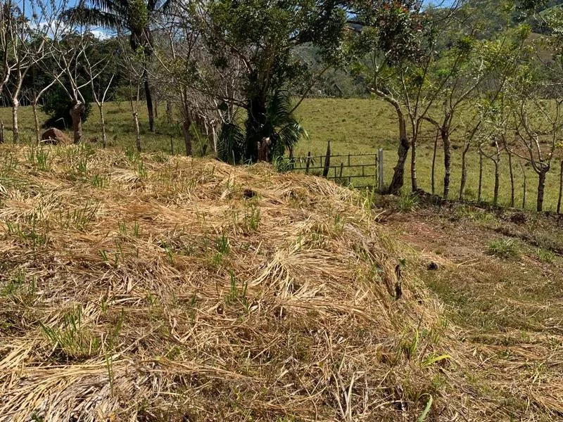 Land For Sale in Santa Marta, photo 3