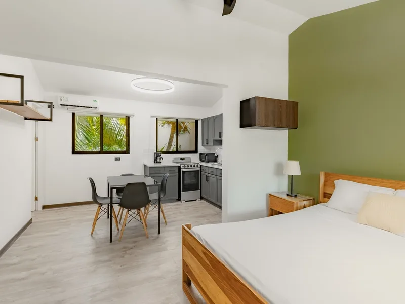 1 Bed Condo For Sale in Playas Del Coco, photo 5