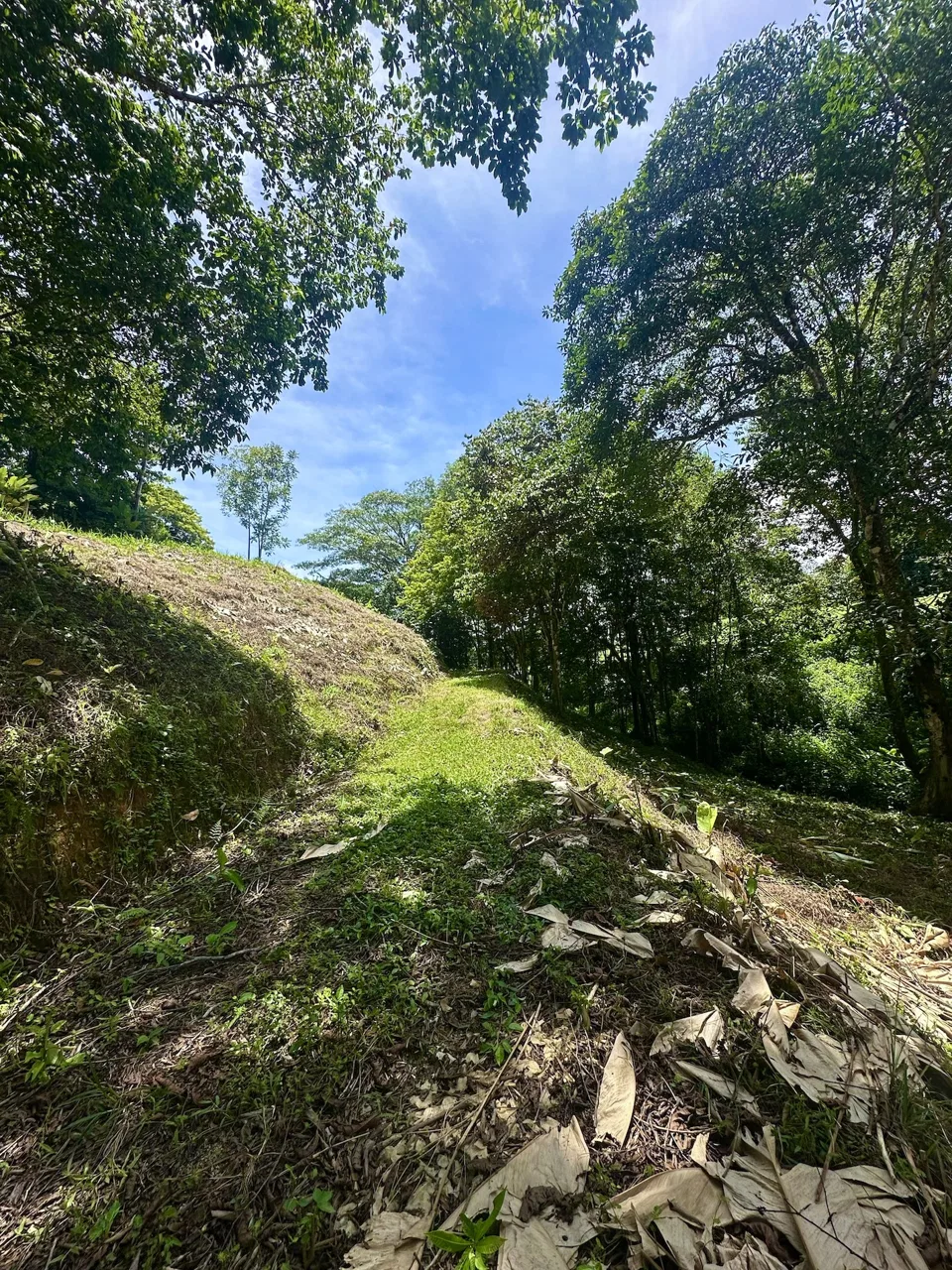 BUILDING PROPERTY WITH MOUNTAINS VIEWS, IN OJOCHAL – 1.79 ACRES, photo 13