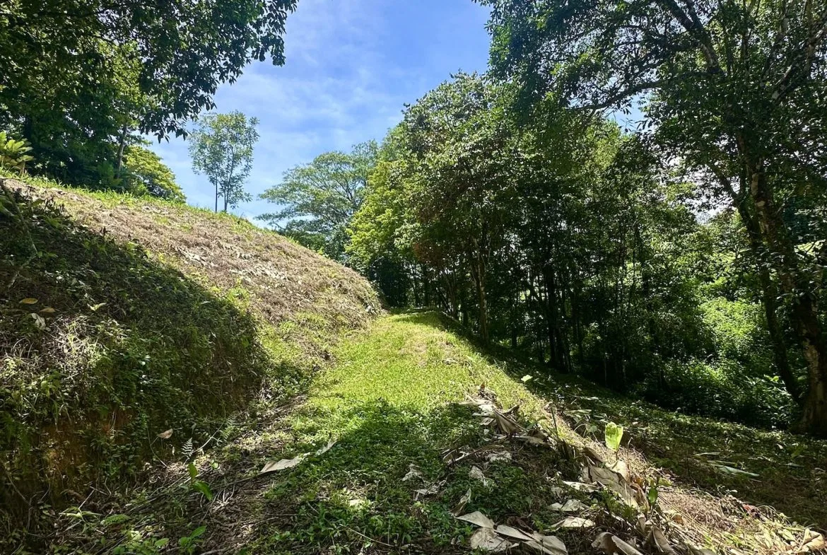 BUILDING PROPERTY WITH MOUNTAINS VIEWS, IN OJOCHAL – 1.79 ACRES, photo 14