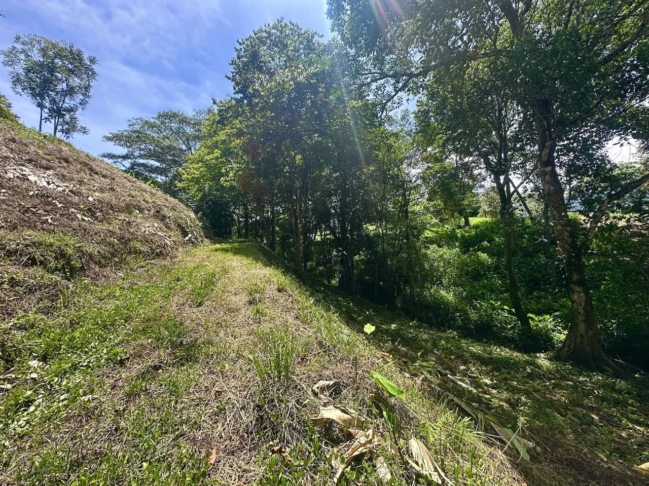 BUILDING PROPERTY WITH MOUNTAINS VIEWS, IN OJOCHAL – 1.79 ACRES, photo 15