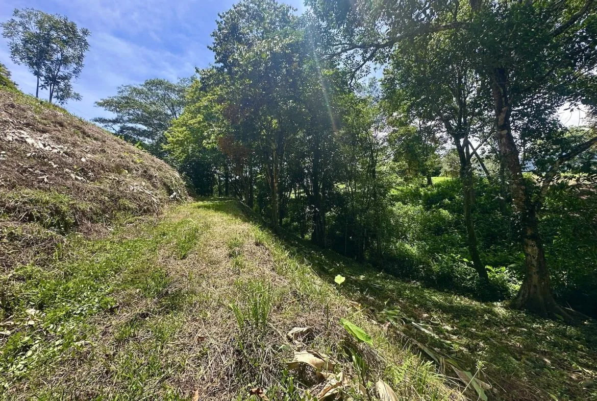 BUILDING PROPERTY WITH MOUNTAINS VIEWS, IN OJOCHAL – 1.79 ACRES, photo 16