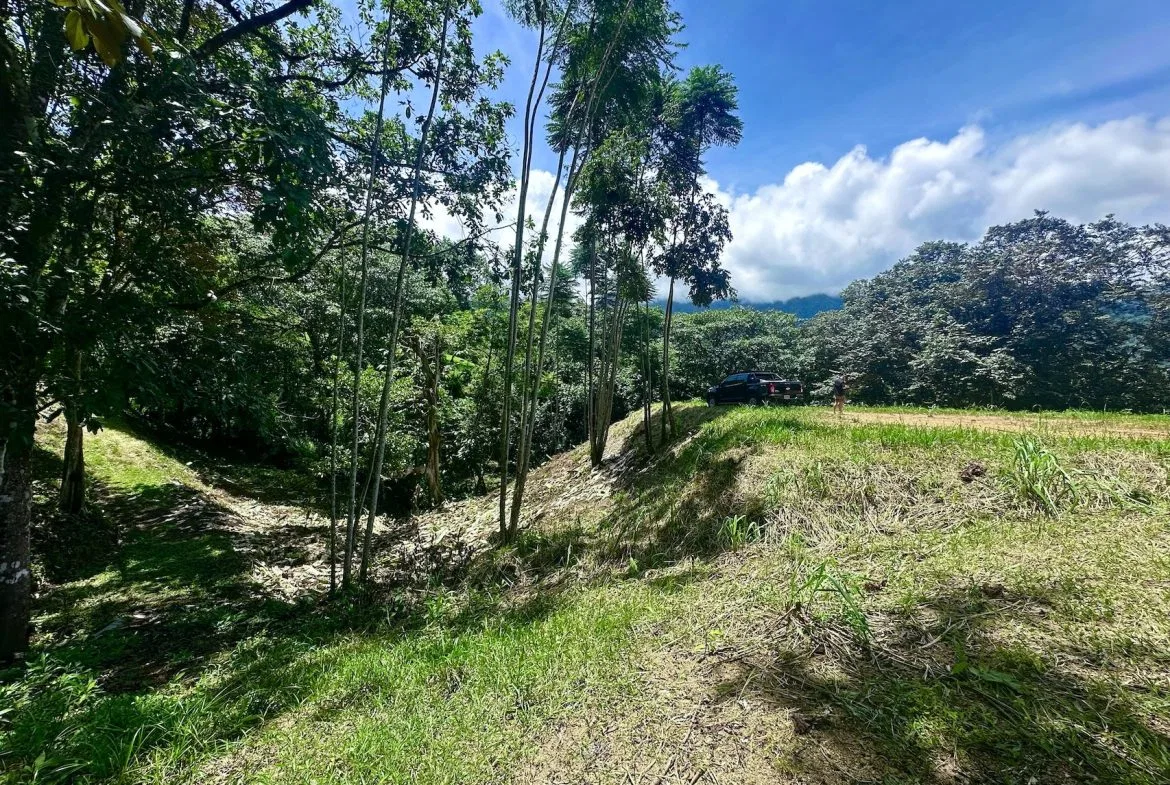 BUILDING PROPERTY WITH MOUNTAINS VIEWS, IN OJOCHAL – 1.79 ACRES, photo 18