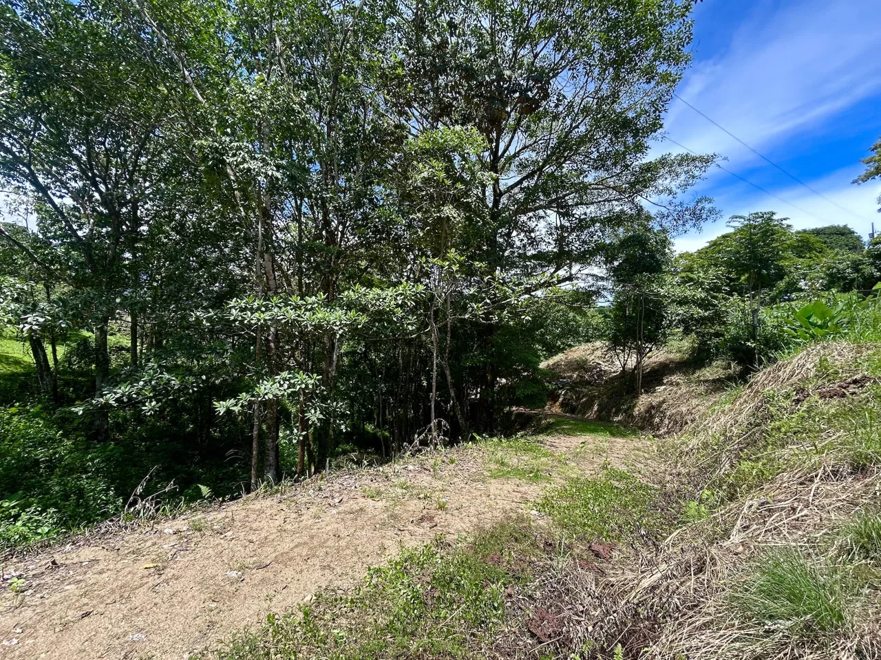 BUILDING PROPERTY WITH MOUNTAINS VIEWS, IN OJOCHAL – 1.79 ACRES, photo 21