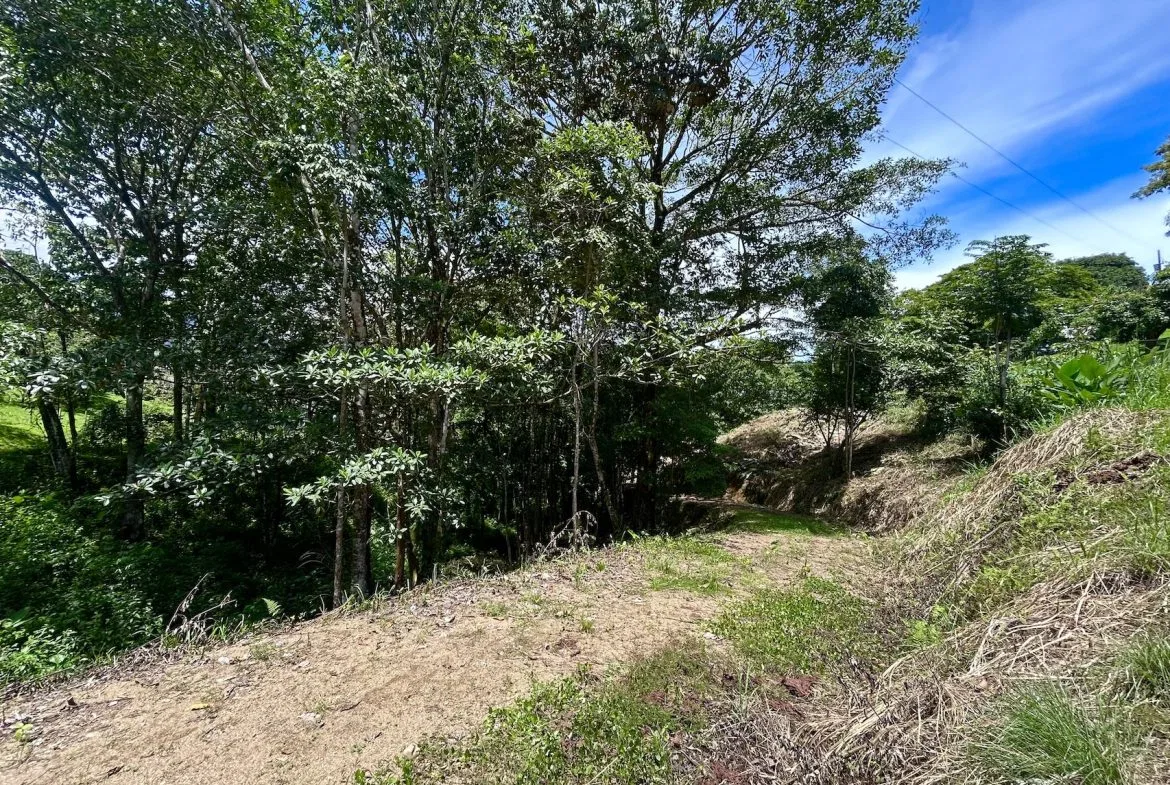 BUILDING PROPERTY WITH MOUNTAINS VIEWS, IN OJOCHAL – 1.79 ACRES, photo 22