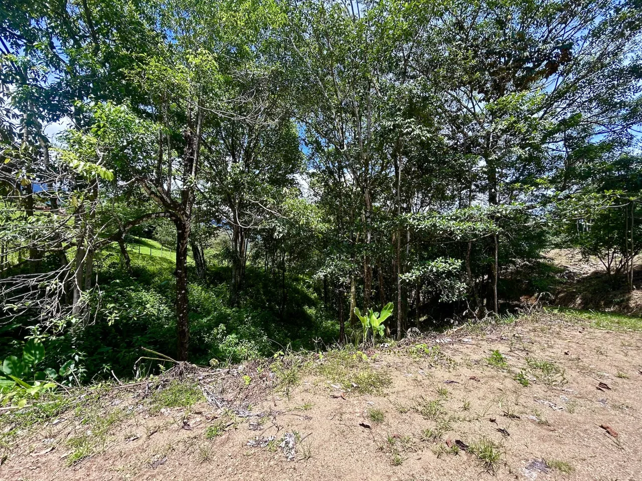 BUILDING PROPERTY WITH MOUNTAINS VIEWS, IN OJOCHAL – 1.79 ACRES, photo 23
