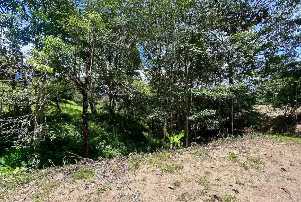 BUILDING PROPERTY WITH MOUNTAINS VIEWS, IN OJOCHAL – 1.79 ACRES, photo 24
