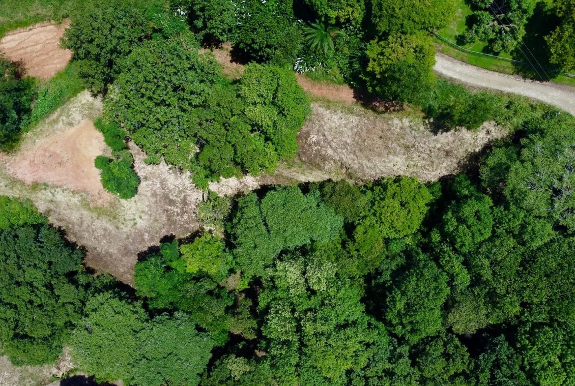 BUILDING PROPERTY WITH MOUNTAINS VIEWS, IN OJOCHAL – 1.79 ACRES, photo 8