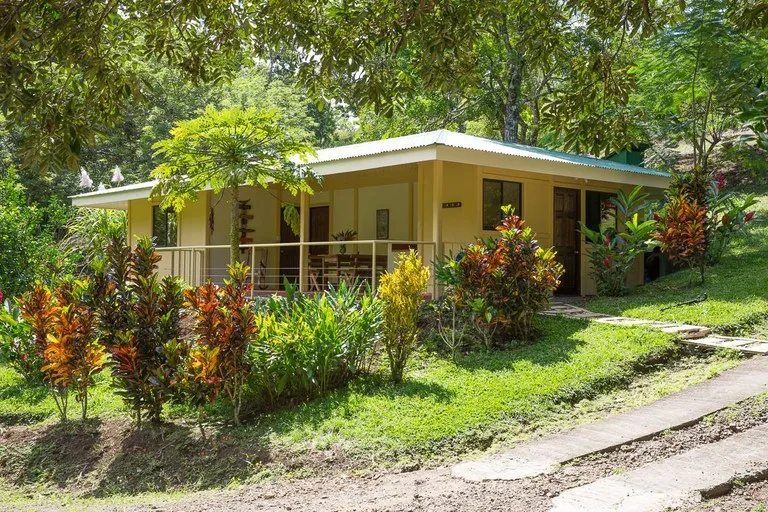Yoga Retreat in Sabalito, photo 3