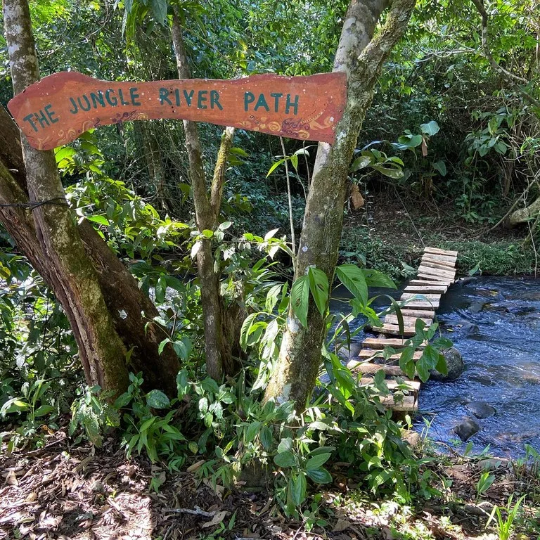 Yoga Retreat in Sabalito, photo 4