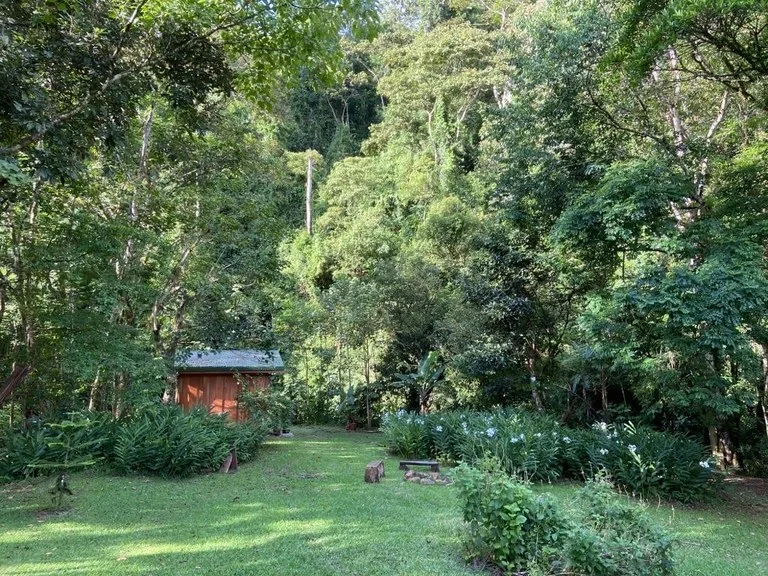Yoga Retreat in Sabalito, photo 7