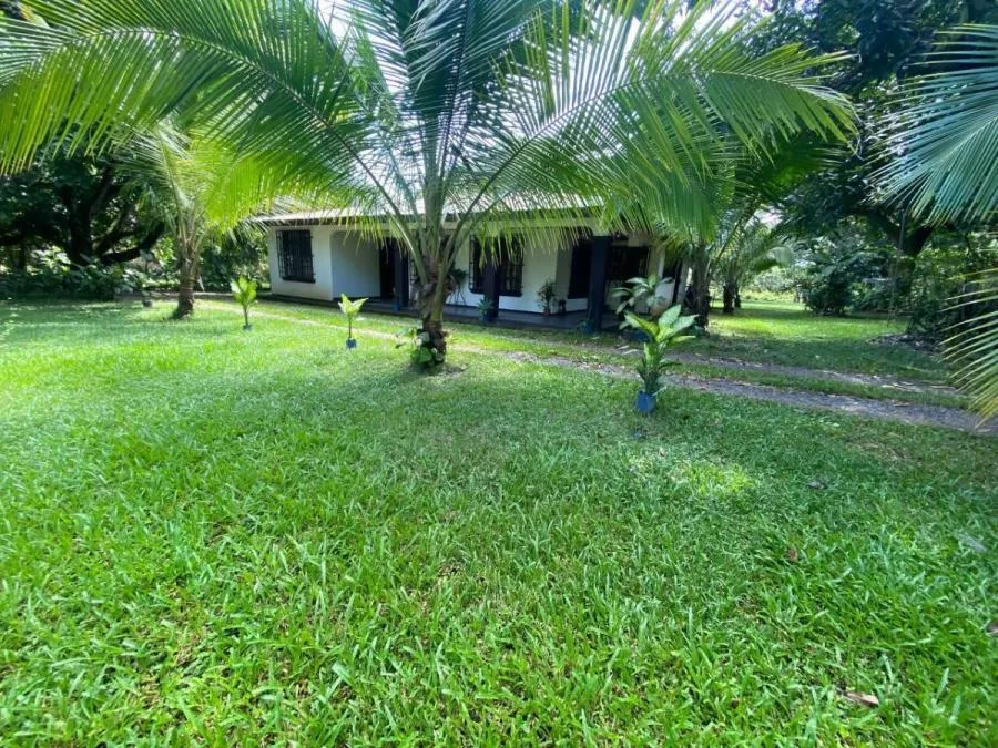 Venta de lote de 7130 m2 en Orotina MGA - Venta en Orotina