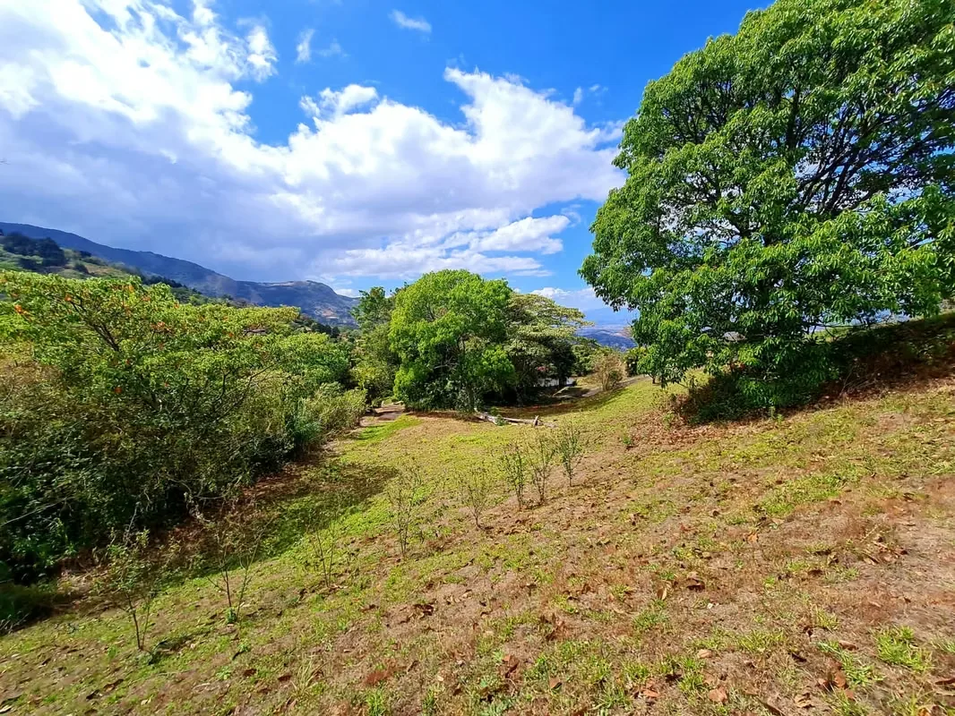 Tranquilo y privado más de 200 metros de la entrada privada. Diferentes grandes plataformas. Grande arbol. Lindo adobe remodelado con grandes ventanales y nuevos acabados. Esto tiene ..., photo 2