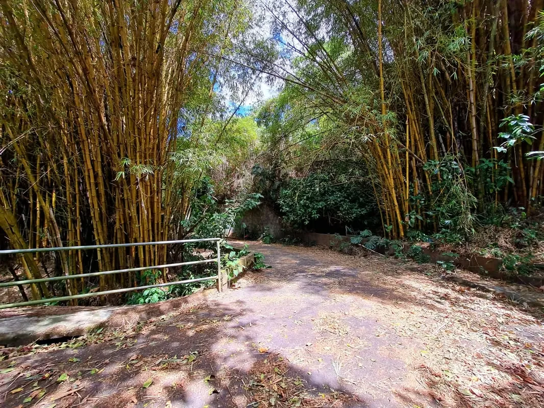 Tranquilo y privado más de 200 metros de la entrada privada. Diferentes grandes plataformas. Grande arbol. Lindo adobe remodelado con grandes ventanales y nuevos acabados. Esto tiene ..., photo 11