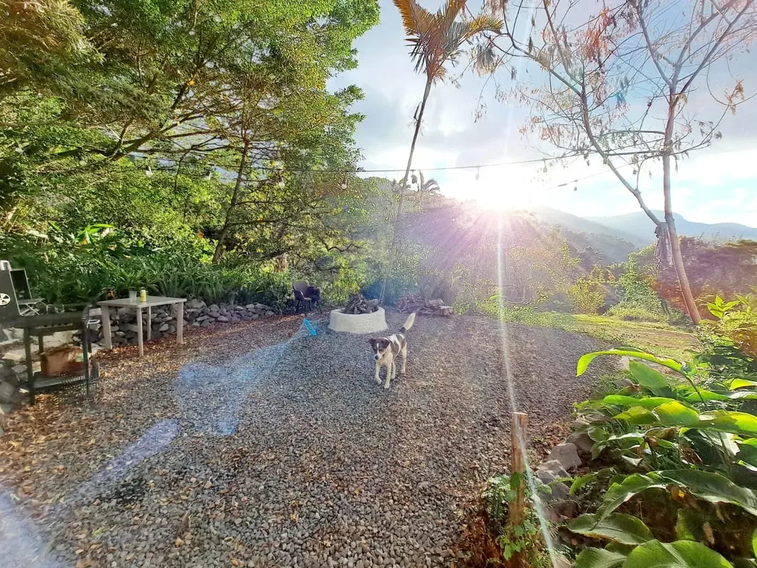 Tranquilo y privado más de 200 metros de la entrada privada. Diferentes grandes plataformas. Grande arbol. Lindo adobe remodelado con grandes ventanales y nuevos acabados. Esto tiene ..., photo 7