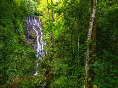 Tres Rios Waterfall House, photo 10